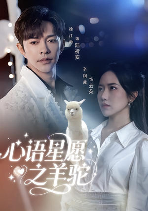心语星愿之羊驼（60集）全剧看到大结局