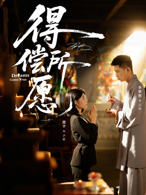 得偿所愿（65集）流畅播放免费看