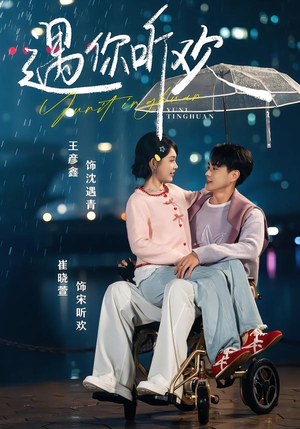 遇你听欢（80集）热门短剧来袭