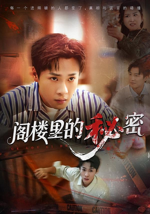 阁楼里的秘密（76集）精彩的短剧