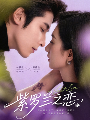 紫罗兰之恋（82集）火爆短剧推荐