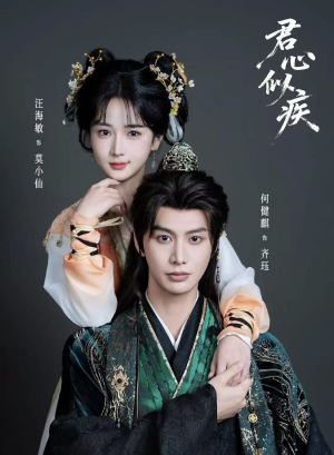 君心似疾（80集）百度网盘资源
