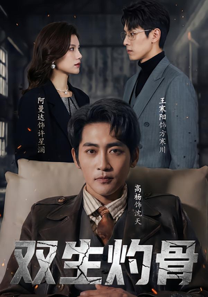 双生灼骨（60集）评价怎么样