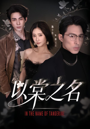 以棠之名（66集）免费观看