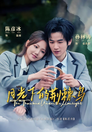 月光下的荆棘鸟（80集）在线观看