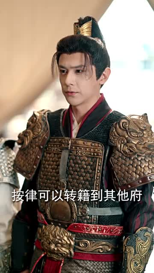 沙场秋点兵(61集) 沙场秋点兵(61集)经典老剧免费看