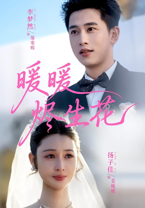 暖暖烬生花（65集）免费短剧资源