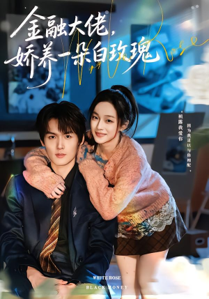 金融大佬，娇养一朵白玫瑰（70集）爱上了这部剧了