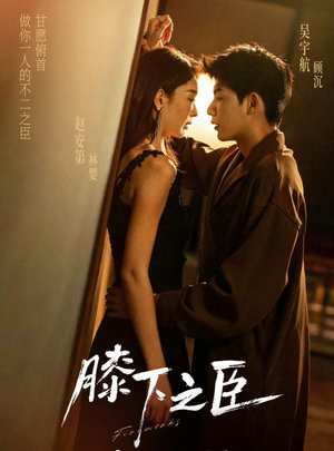 膝下之臣（56集）全集免费观看