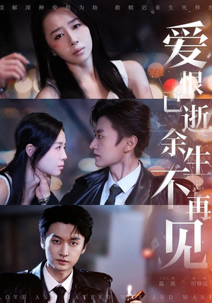 爱恨已逝，余生不再见（68集）超级好看的短剧