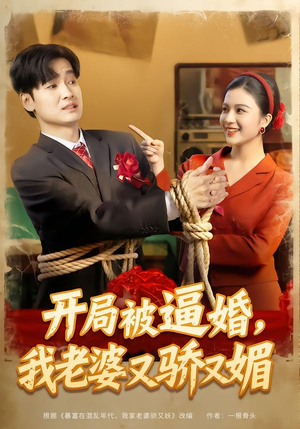 开局被逼婚，我老婆又骄又媚（74集）短剧小说在线看