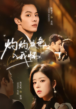 灼灼夜色入我怀（60集）短剧推荐来了