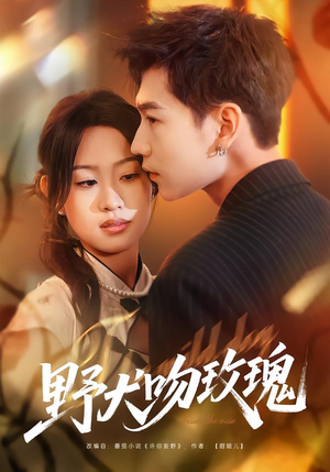 野犬吻玫瑰（70集）看过的人都说好