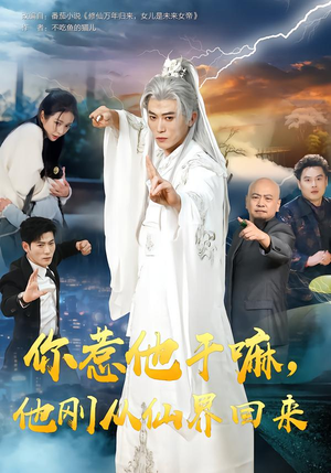 你惹他干嘛，他刚从仙界回来（80集）女频短剧推荐