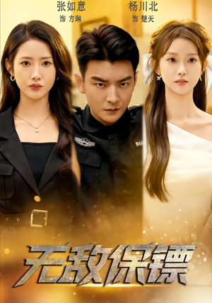 无敌保镖（62集）观看软件