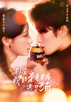 别摸!我的杀手女友是只猫(60集) 别摸!我的杀手女友是只猫(60集)短剧介绍