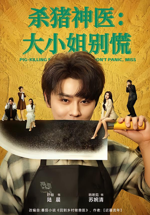 杀猪神医，大小姐别慌（80集）短剧演员排行榜