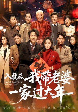 入赘后，我带老婆一家过大年（60集）在哪个平台看好