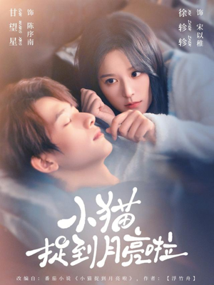 小猫捉到月亮啦（80集）短剧精彩不断