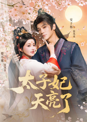 太子妃天亮了（80集）剧情简介