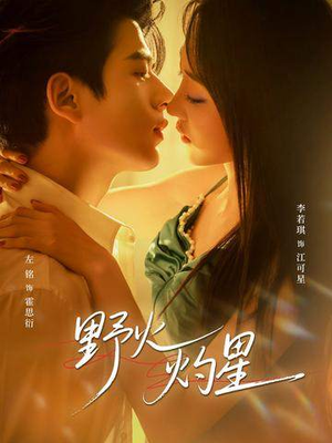 野火灼星（56集）常回家看看短剧