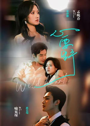 心要野（62集）精彩好看的短剧