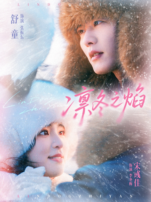 凛冬之焰（80集）热门短剧追不停