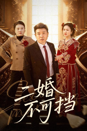 二婚不可挡（36集）好看短剧分享