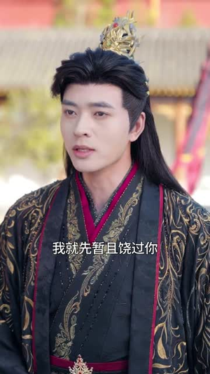 入玄成仙，从不当赘婿开始（80集）好看的短剧推荐