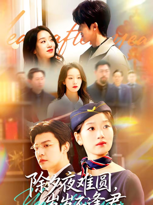 除夕夜难圆，岁岁不逢君（79集）海量短剧免费看