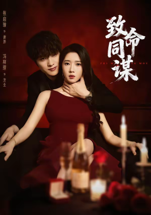 致命同谋（63集）不用花钱看全剧